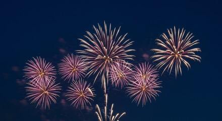 Photo of Fireworks Display in Night Sky