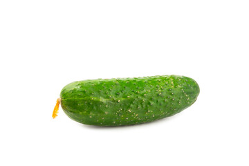 Cucumber isolated on white background. Slice of cucumber on white background. Fresh organic green cucumbers. Vegan. Ingredient for salad. Farm vegetables.