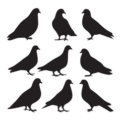 Obraz premium Vector silhouette set of dove on white background