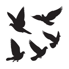 Obraz premium Vector silhouette set of dove on white background