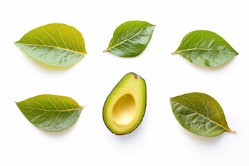 avocado isolated on white background