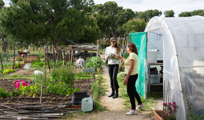 Women exchanging vegetables in community garden with greenhouse and trees