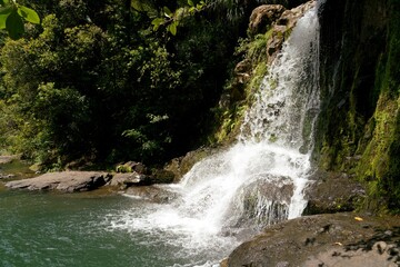 Waiau Falls cascading in summer – scenic New Zealand waterfall view