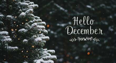 Photo of Snowy Pine Tree with Hello December Text Overlay