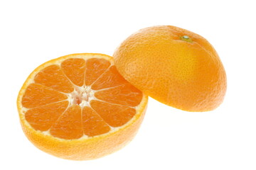 蜜柑 山北温室みかん 高知県産