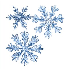 Detailed illustration of three snowflakes