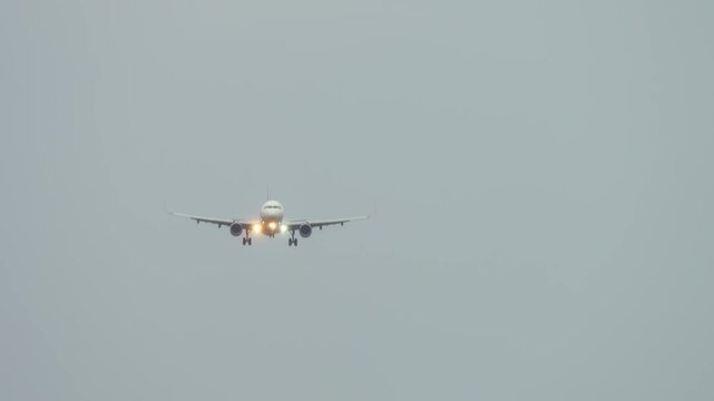 Plane descending in cloudy sky with landing lights shining and birds flying nearby. Birds flying dangerously close to descending aircraft with landing lights on. Winged animals appearing in hazardous