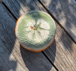 Mandarin gone bad