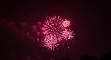 Photo of Vibrant Pink Fireworks Bursting in Night Sky