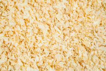 Sawdust spread across the workshop floor creates a vibrant yellow backdrop for woodworking projects