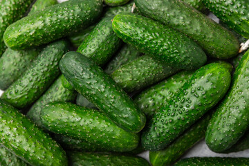 Cucumber on wooden background. Slice of cucumber on background. Fresh organic green cucumbers gherkin. Vegan. Salad ingredient. Farm vegetables. Cut vegetables with knife. Space for text. Copy space
