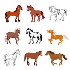 Horse Vector File 2