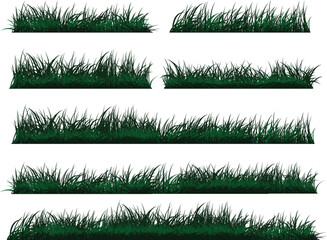 Set of Green Grass Isolated on transparent background.
