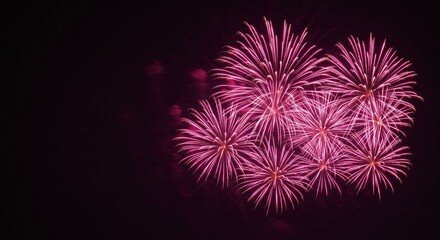 Photo Pink Fireworks Burst in Night Sky