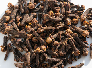 Clove spice with hard sun light isolated. Macro dry carnation spicy buds, natural Indian clove