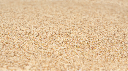 Milk thistle seeds powder, crushed silybum marianum grains pile, milled dry blessed milkthistle