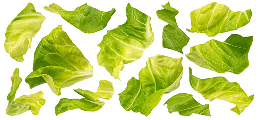 Chopped lettuce leaves isolated on white background