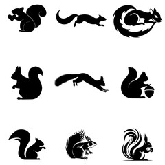  Squirrel black vector