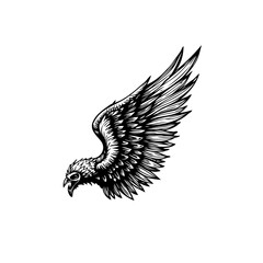 Monochrome illustration of a detailed wing, showcasing feathered textures and artistic rendering