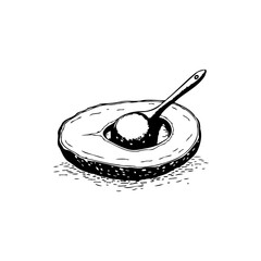 Avocado Delight: A culinary sketch featuring a spoonful of creamy goodness