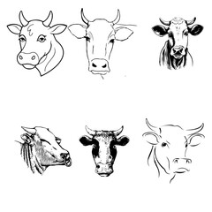 Black and White Cow vector set 4
