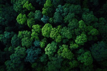 aerial drone shot capturing harmonious blend of nature with untouched landscapes offering abundant copy space