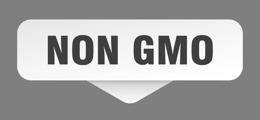 non gmo sticker. non gmo sign isolated on gray background