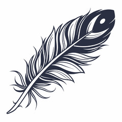 Obraz premium Elegant Feather Vector Designs