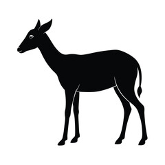 Dibatag Grazing Long Neck Vector Art
