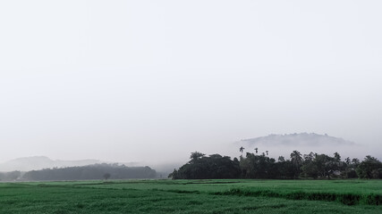 misty morning in the mountains