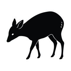 Chevrotain Grazing Vector Silhouette Clipart