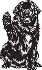 black and white newfoundland cartoon dog