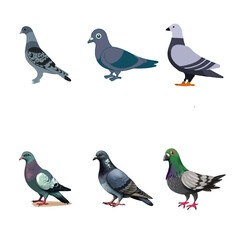 vector fill Black & White 3