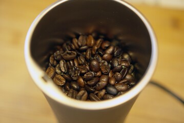 Freshly roasted coffee beans in a cup.