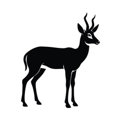 Pronghorn Standing Horns Vector Clipart