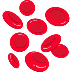 Red Blood Cells