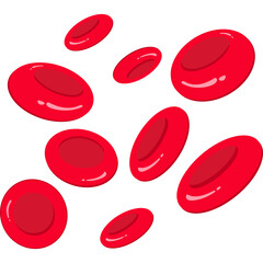 Red Blood Cells