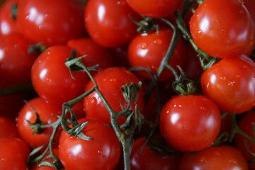 A handful of vibrant cherry tomatoes rests gently under natural light, showcasing their bright red hues and smooth, glossy skin. 
