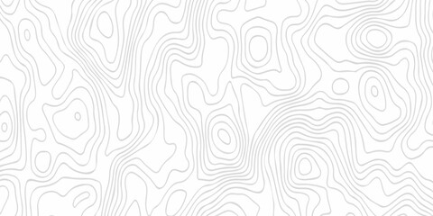 Contour abstract map relief land outline. Topographic map patterns. White wave paper curved reliefs abstract background. Background of the topography map. Abstract pattern with lines.