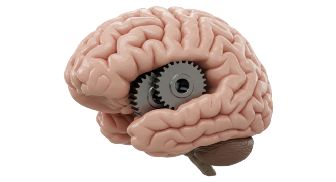 Isolated Brain with Gears Turning Representing Thinking Process