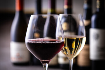 レストランでワインを飲む 