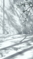 Window light casts a shadow on an abstract white wall and floor