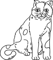 hand drawn sketch cat