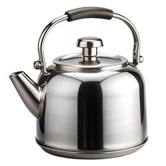 Sleek Stainless Steel Tea Kettle with Polished Finish