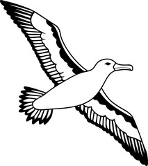 flying albatross line art silhouette vector illustration