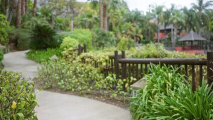Obraz premium Blurred image of a tropical resort path with lush greenery and palms, emphasizing serene atmosphere and exotic luxury setting, captured with bokeh for an artistic effect.
