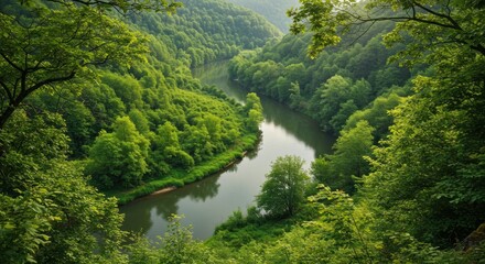 Serene river winds through a lush valley, framed by vibrant green forests