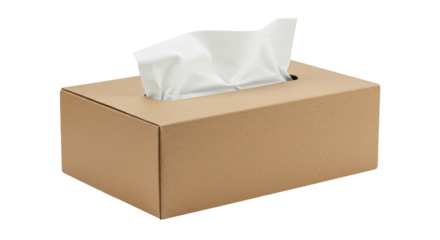 Isolated Brown Tissue Box with White Tissues