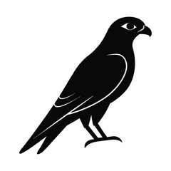 Falcon Perched Beak Vector Clipart