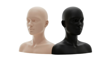 Isolated Two Busts Different Skin Tones Diversity
